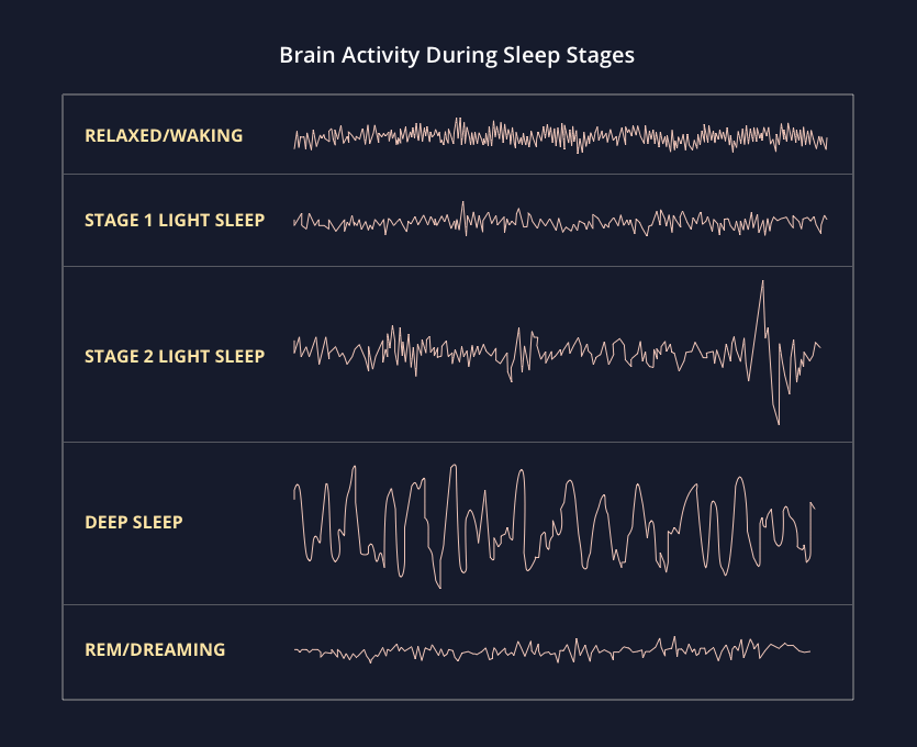 What are Sleep Cycles? Learn about REM, Deep, & Light Sleep