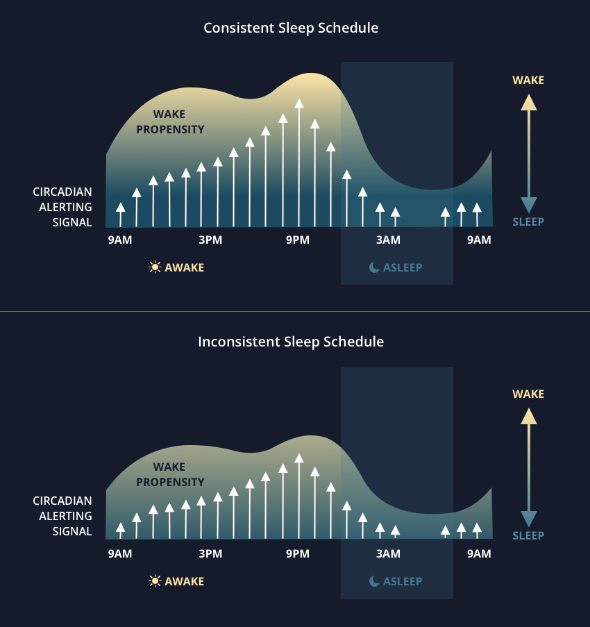 consistent-sleep-schedule