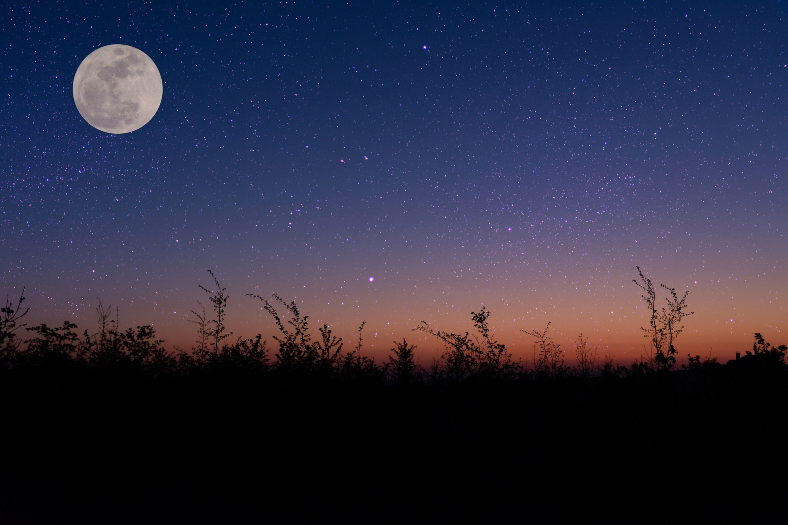 A beautiful night sky with a moon which is the background for the premium subscription to SleepSpace screen.